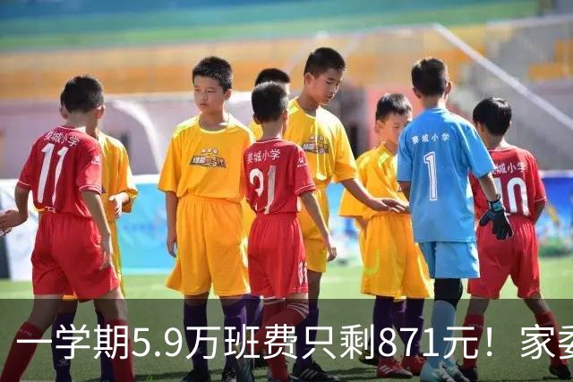 一学期5.9万班费只剩871元！家委会花钱“先斩后奏”惹众怒