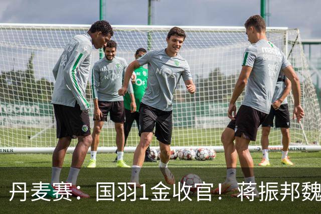 丹麦赛：国羽1金收官！蒋振邦/魏雅欣2-1首度封王，凤凰组合无缘4连冠