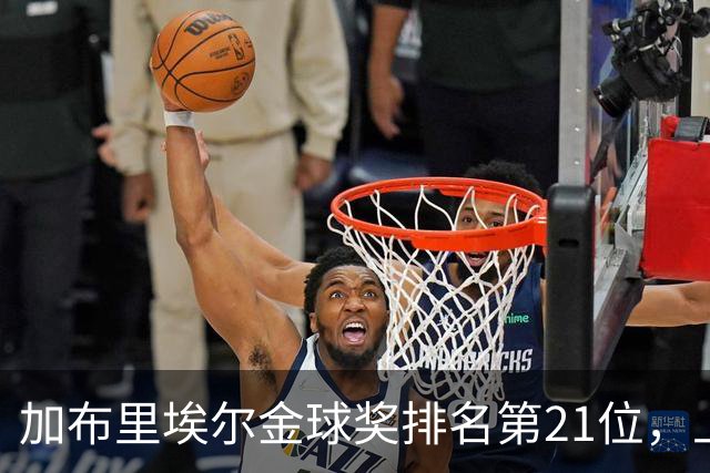 加布里埃尔金球奖排名第21位，上赛季英超17次零封为后卫最多