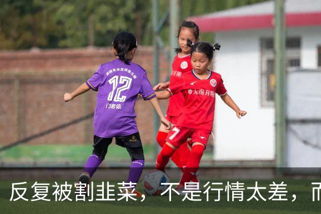 反复被割韭菜，不是行情太差，而是散户普遍存在这 5 个思维短板