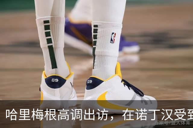 哈里梅根高调出访，在诺丁汉受到热烈欢迎，“伪王室巡演”引争议