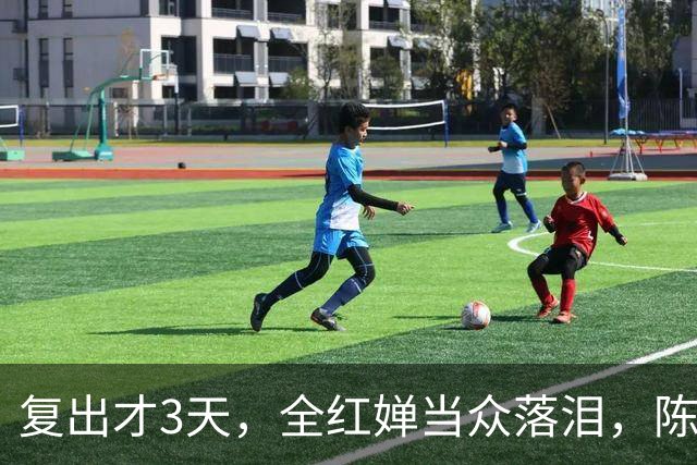复出才3天，全红婵当众落泪，陈芋汐态度遭曝光，不再顾及体面？