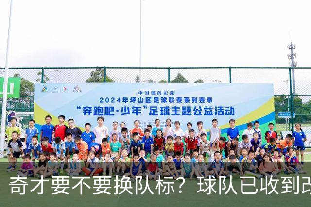 奇才要不要换队标？球队已收到改版请求，球迷投票定夺
