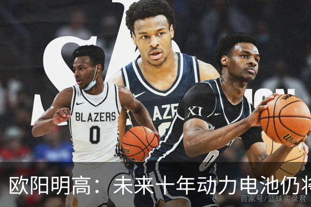 欧阳明高：未来十年动力电池仍将以磷酸铁锂为主，半固态电池不能与全固态混为一谈
