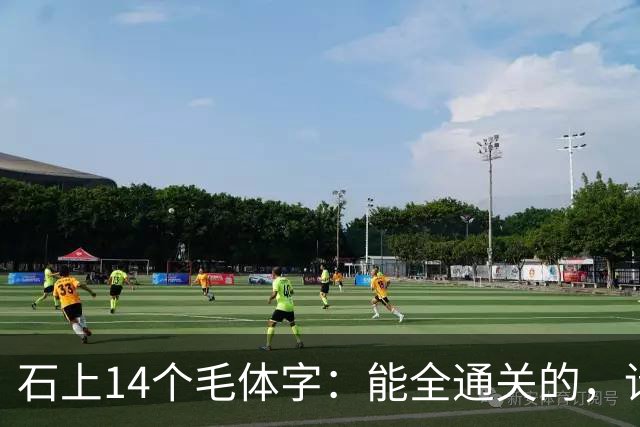 石上14个毛体字：能全通关的，请留步指点。认草书时，一个转折为什么会影响字的判断？
