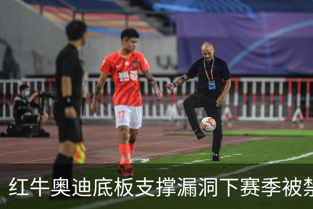 红牛奥迪底板支撑漏洞下赛季被禁