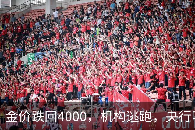 金价跌回4000，机构逃跑，央行吃饱，你相信谁？