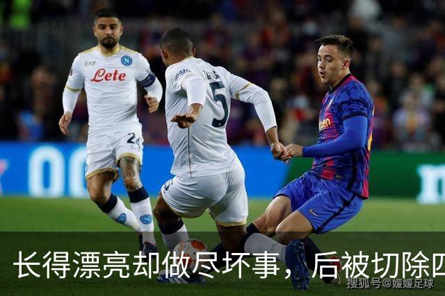 长得漂亮却做尽坏事，后被切除四个器官，就连小十五岁老公也出轨