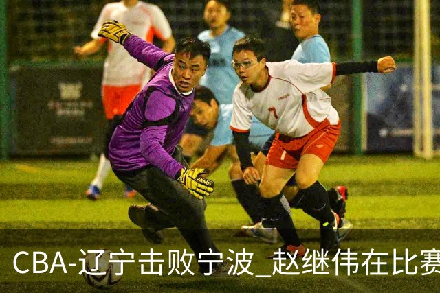 CBA-辽宁击败宁波 赵继伟在比赛中