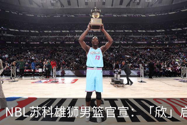 NBL苏科雄狮男篮官宣：「欣」启新章，欢迎王欣瑞加盟
